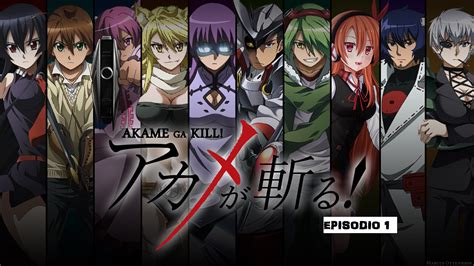 akame ga kill animeflv.